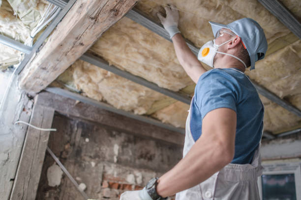 Best Insulation for Specific Applications in West Park, CA