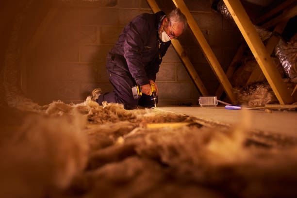 Best Eco-Friendly Insulation in West Park, CA